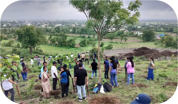 Prepared plantation site with saplings and event setup